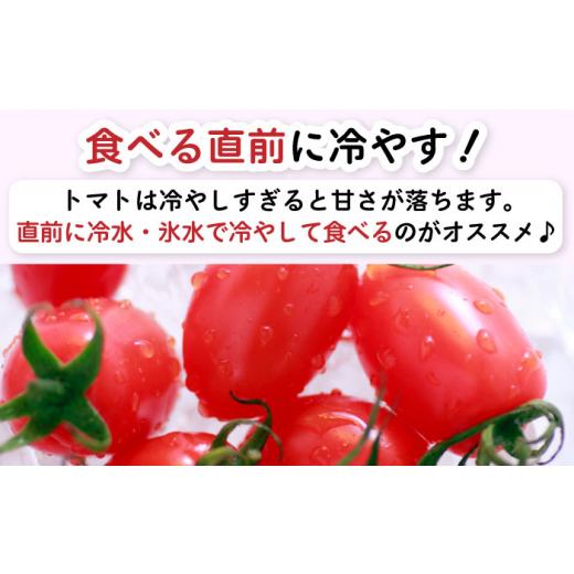 ふるさと納税 長崎県 南島原市 アイコトマト 約3kg 南島原市 ／ とまと トマト 野菜 ／ 長崎県農産品流通合同会社 [SCB052]