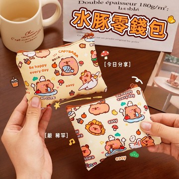 台灣現貨🎀卡皮巴拉零錢包 迷你零錢包 水豚零錢包 豚豚零錢包 卡通迷你 耳機收納袋 文件收納袋 文具收納 零錢包