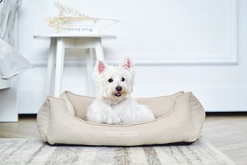 macarro寵物乳膠床 棉絨布料 奶油杏