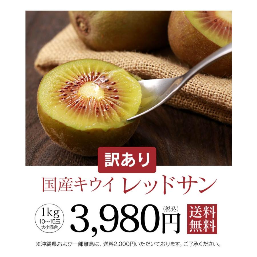 訳あり 国産キウイ レッドサン 1kg(10玉-15玉) 送料無料 レッドキウイ ＜10日から2週間でお届け＞ 訳有り 傷あり 農家直送