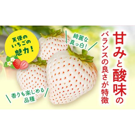 ふるさと納税 宮崎県産イチゴ「幸せの紅白いちごセット」3パック（1080g以上：36粒.. 宮崎県宮崎市