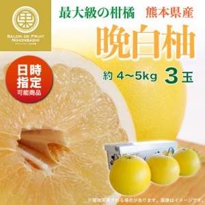 [予約 2023年12月31日必着] 晩白柚 3玉 約4～5kg 熊本県八代産 化粧箱 最大級の柑橘フルーツ 冬ギフト お歳暮 御歳暮