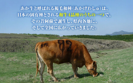 あか牛焼肉用肩ロース 500g 熊本県産あか牛 やきにく 肩ロース あか牛焼き肉 贅沢あか牛 熊本 赤牛 褐牛 あかうし 褐毛和種 肥後 冷凍 国産 牛肉[YAD012]