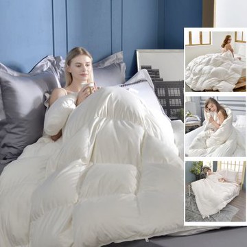 【Great Living格蕾寢飾】義大利La Belle 買一送一 人氣冬被多款-羽毛被｜蠶絲水洗被｜發熱保暖被 (任選組合)