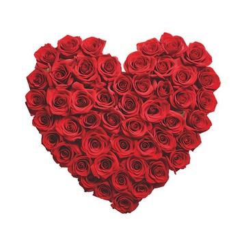 新款fun-m10情人節愛心玫瑰花馬桶貼浴室衛生間家居裝飾牆貼紙