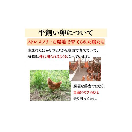 ふるさと納税 京都府 亀岡市 ＜アスカ有機農園＞旬の京野菜セットL（平飼い卵付）＊毎月お届け全4回≪定期便 ふるさと納税野菜 たまご≫