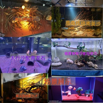 快速發貨 特價 熱帶精品雨林沙魚缸底沙太行南美三湖慈鯛鼠沙埃及七彩雷龍造景沙