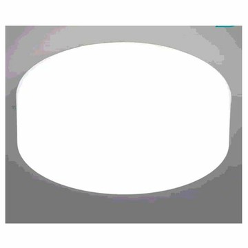 [COSCO代購6]  W124173 IRIS LED 小型吸頂燈白光 2入