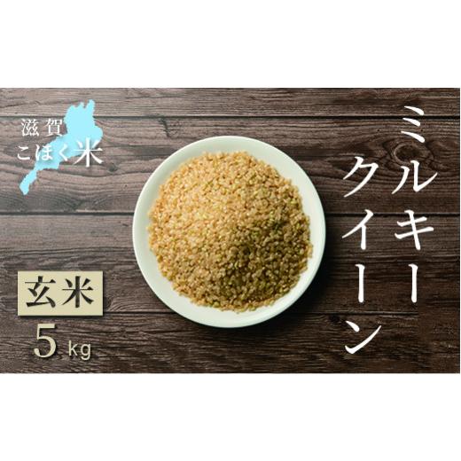 ふるさと納税 滋賀県 長浜市 令和5年 滋賀県湖北産　湖北のミルキークイーン 5kg (玄米)