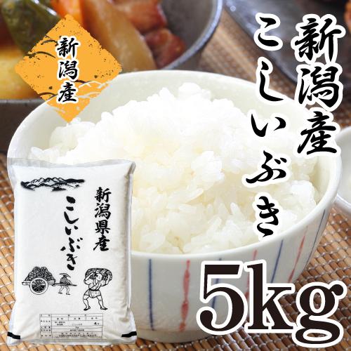 新米 5Kg 新潟産 こしいぶき お米 5キロ 令和5年産 あすつく 新潟県産 白米 精米 美味しいお米 おいしいお米 おいしい米 単一原料