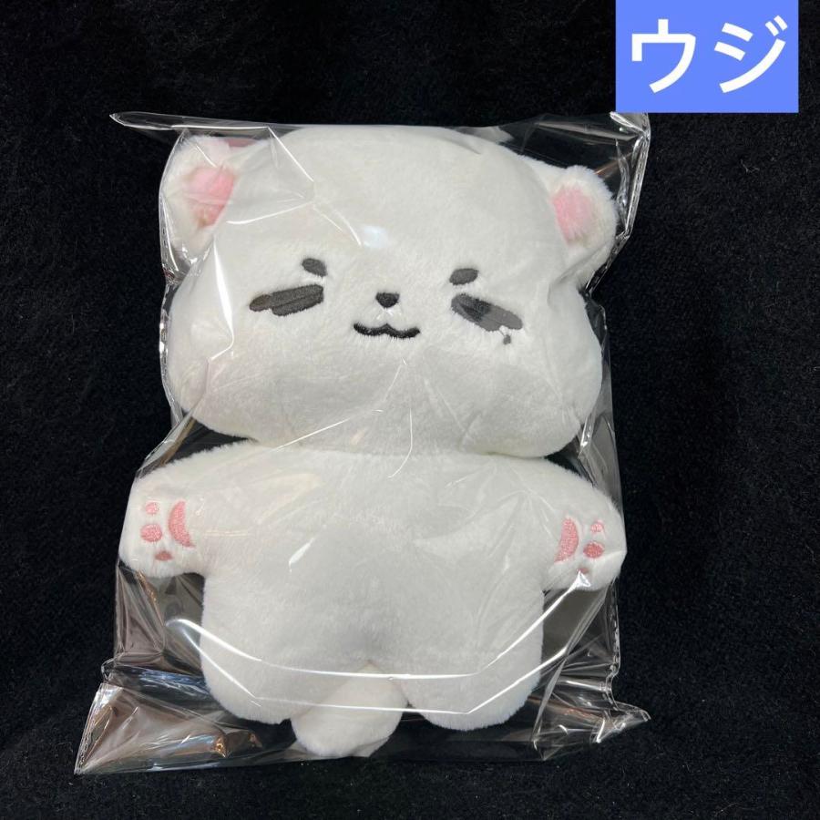 ウジ ぬいぐるみ 15cm 新品 マスター セブチ seventeen-