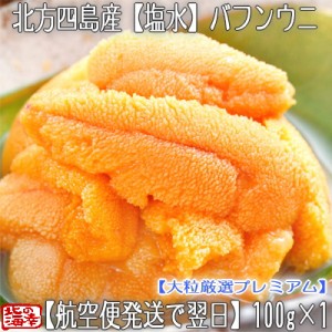 北方四島産 生エゾバフンウニ 100g×1  バフンウニ は濃厚で甘みやコクは絶品！