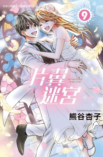 片翼迷宮（9）[二手書_良好]