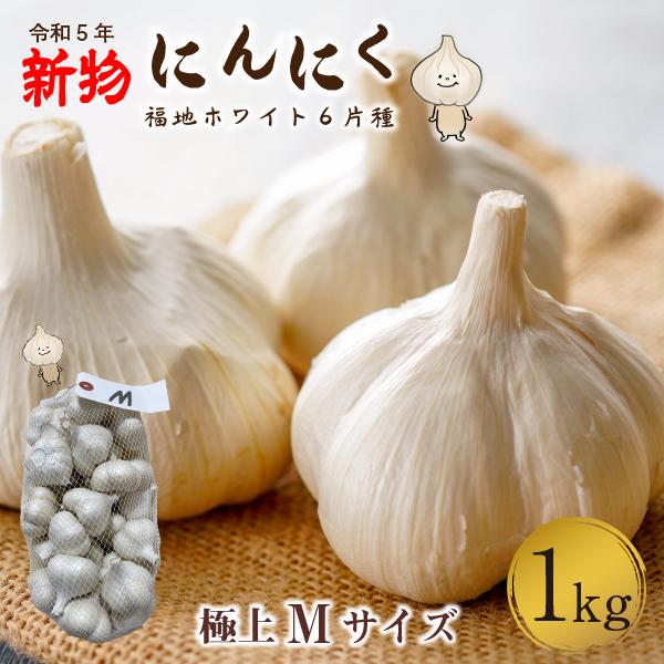 青森 にんにく1kg Mサイズ 約20玉 福地ホワイト6片 国産 ニンニク 新物