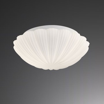 E27玻璃吸頂二燈 B209-060001