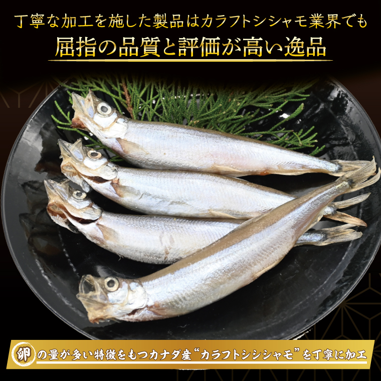 ししゃも雄雌食べ比べ ４ｋｇ セット 訳アリ シシャモ ししゃも カラフトししゃも 大洗 規格外 訳あり わけあり 傷