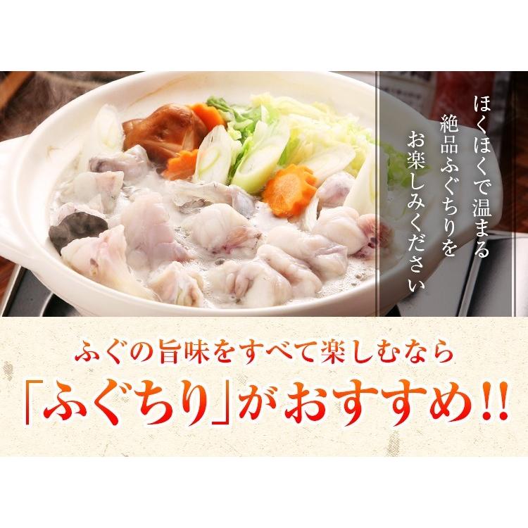 ふぐ料理セット とらふぐ刺身・とらふぐ鍋セット 3-4人前 送料無料 ふぐちり てっさ ふぐ皮 ふぐ鍋 刺身 福岡 博多 プレゼント ギフト 贈り物 [フグ]