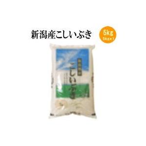 お米 白米 新潟産こしいぶき5kg（令和5産新米）