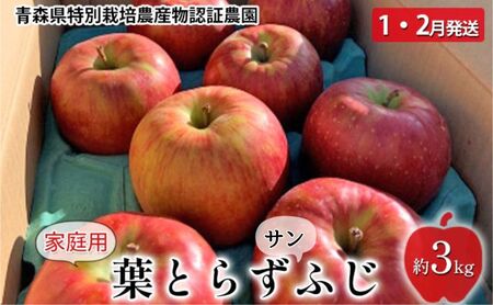 家庭用 葉取らず サンふじ 約 3kg 青森県特別栽培農産物認証農園