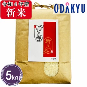 お米 5kg 令和４年産 新潟県産 新之助　米 送料無料　※沖縄・離島届不可