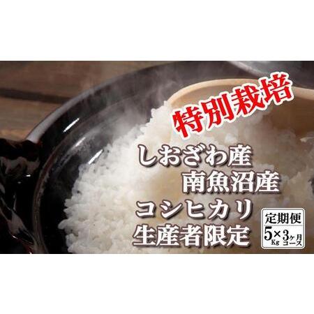 ふるさと納税 特別栽培 生産者限定  南魚沼しおざわ産コシヒカリ 新潟県南魚沼市