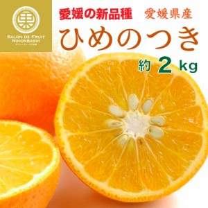 [予約 2024年2月中下旬頃から発送] ひめのつき 約2kg 愛媛県産 産地箱 高糖度 みかん 柑橘 柑橘王国愛媛 JA全農えひめ