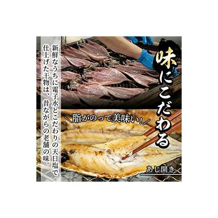 ふるさと納税 akune-2-8 鹿児島県産！干物詰め合わせ(5種)国産 九州産 魚介 ひもの 干物 乾物 鯵 あじ かますな きびなご ウルメ セット 詰.. 鹿児島県阿久根市