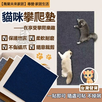 【地墊】寵物 多功能貓抓板 貓抓墊 不掉屑自黏背膠牆貼貓抓墊 攀爬貓抓墊 貓玩具 貓抓墊子 拼貼牆貓抓墊 攀爬墊 地毯