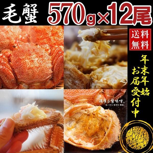 カニ かに 蟹 毛ガニ 毛蟹 12尾 北海道産 570g×12匹セット けがに 毛がに 特大 国産 送料無料 お歳暮 ギフト 高級 海鮮