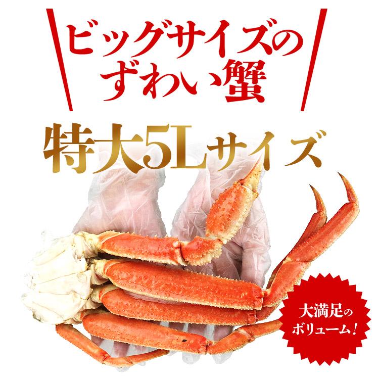 特大5Lサイズ ボイルずわいがに 5肩 総重量2.5kg NET2.1〜2.2kg ズワイガニ かに 蟹 カニ お取り寄せグルメ