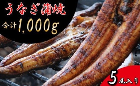 RZ001 お魚屋さんのうなぎ蒲焼 約1000ｇ（5尾）ウナギ ふっくら肉厚 大容量