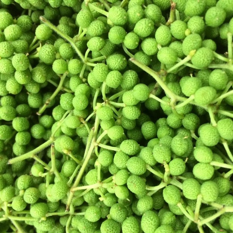 和歌山・高知・奈良県産 実山椒 500g | LINEブランドカタログ