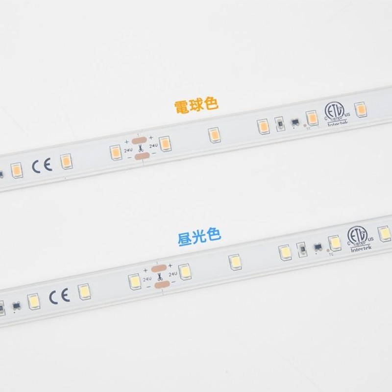 LEDテープライト 24V専用 20m ロングテープライト 防水 昼光色 電球色