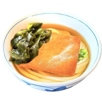 ふるさと納税 高松市 ゆでうどん(カレー・かけ・きつね)各3人前と　半生うどん9人前つゆ付き　詰合せ