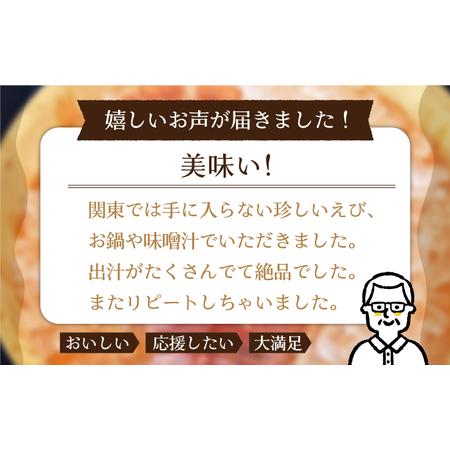 ふるさと納税 ＜12月発送＞平戸 ウチワエビ 三昧 500g[KAA151]  長崎 平戸 魚介類 海老 えび エビ .. 長崎県平戸市