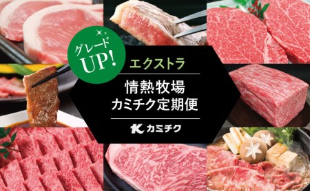 情熱牧場 鹿児島県産お肉の定期便 プレミアムコース お肉 ステーキ すき焼き しゃぶしゃぶ A5等級 ブランド 黒毛和牛 牛肉 豚肉 焼肉 定期便 冷凍