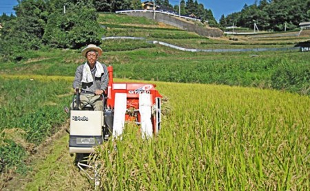 高梁市産の雲海米コシヒカリ 10kg（5kg×2袋）（農家のたべりょうまい）