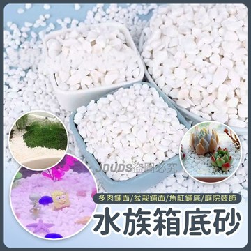 水族箱底砂 白色石頭 珍珠石 白色鵝卵石 白米石 園藝石頭 多肉介質 裝飾 庭院造景設計 底沙