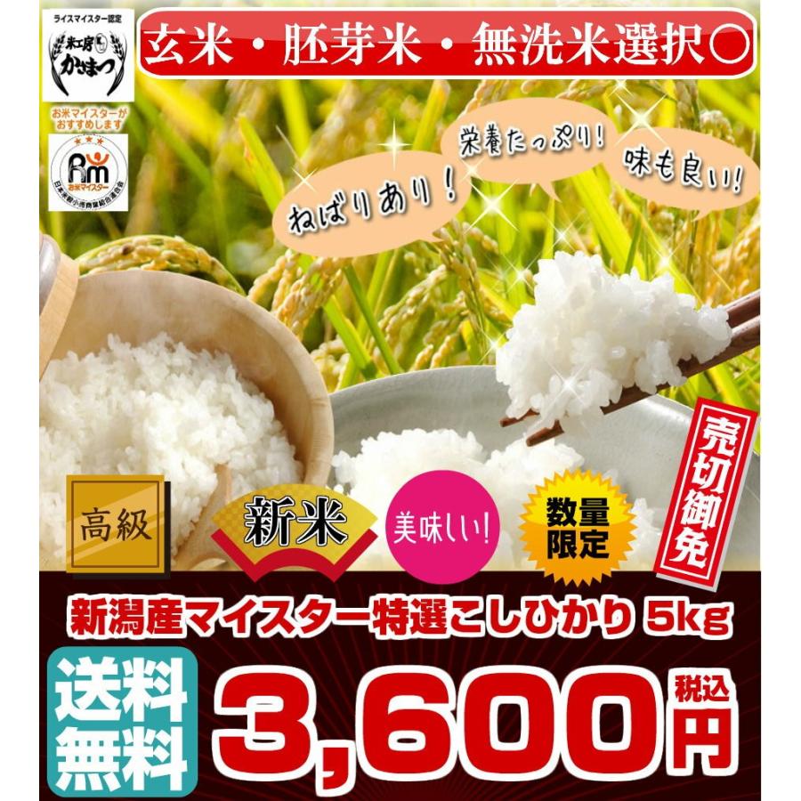 新潟こしひかり 5kg 令和3年産 期間限定 米 お米 コシヒカリ 新米 白米 玄米 あすつく 新潟産 送料無料 タイムセール