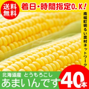 2024年 予約受付中 8月下旬出荷開始北海道産とうもろこし 送料無料 南幌町明るい農村ネットワーク あまいんです(40