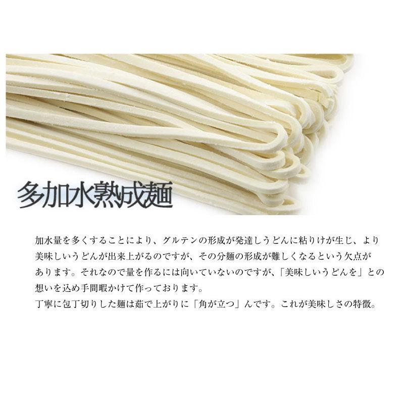 うどん 桐生うどん 麺130ｇ×5袋 1人前小袋入り 選べるA Bセット 多加水麺  国産小麦 群馬