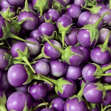 現貨茄子（250粒）越南蛋茄/泰國蛋茄/馬可/cà pháo/綠小蛋茄/紫圓茄/白小蛋茄/粉紫小蛋茄/白南瓜茄/越南蛋茄