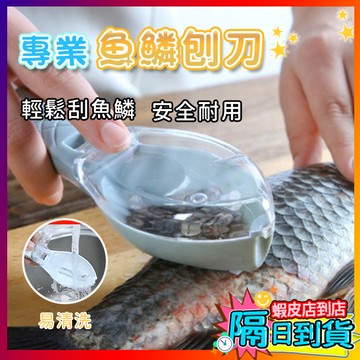 【防噴濺✨】刮魚鱗器 打鱗器 去鱗器魚刷 魚鱗搓 刮魚鱗刨 除魚鱗器 魚鱗清理器 不鏽鋼魚鱗刨 防滑刮魚器 家用刮鱗刨