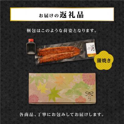 ふるさと納税 大崎町 大隅産うなぎ蒲焼き150g以上1尾!　大崎町・うなぎ太郎の蒲焼き!