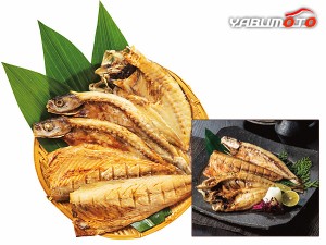 神戸北野 双 長崎県産 対馬の焼き魚セット あじ×1 かます×2 さば×2 SO-A1K2S2 返礼品 贈答 進物 ギフトプレゼント 税率8％