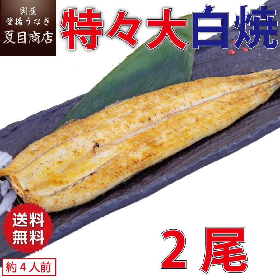 うなぎ 白焼き 国産 特々大211-249g×2尾 （約4人前） 送料無料 プレゼント 贈り物 お歳暮 ギフト