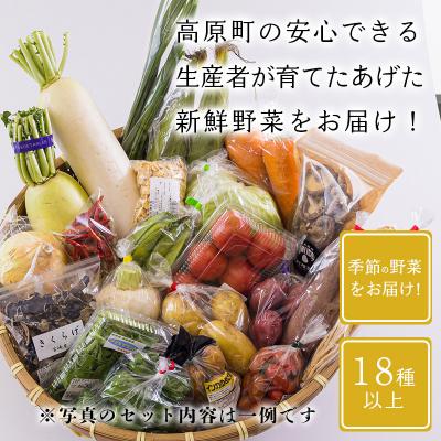 ふるさと納税 高原町 高原町の季節の野菜詰め合わせセットB(18種以上)　ll-669