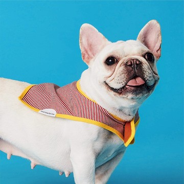 sherbet / mini-caramel 貓狗可穿雙面圍巾