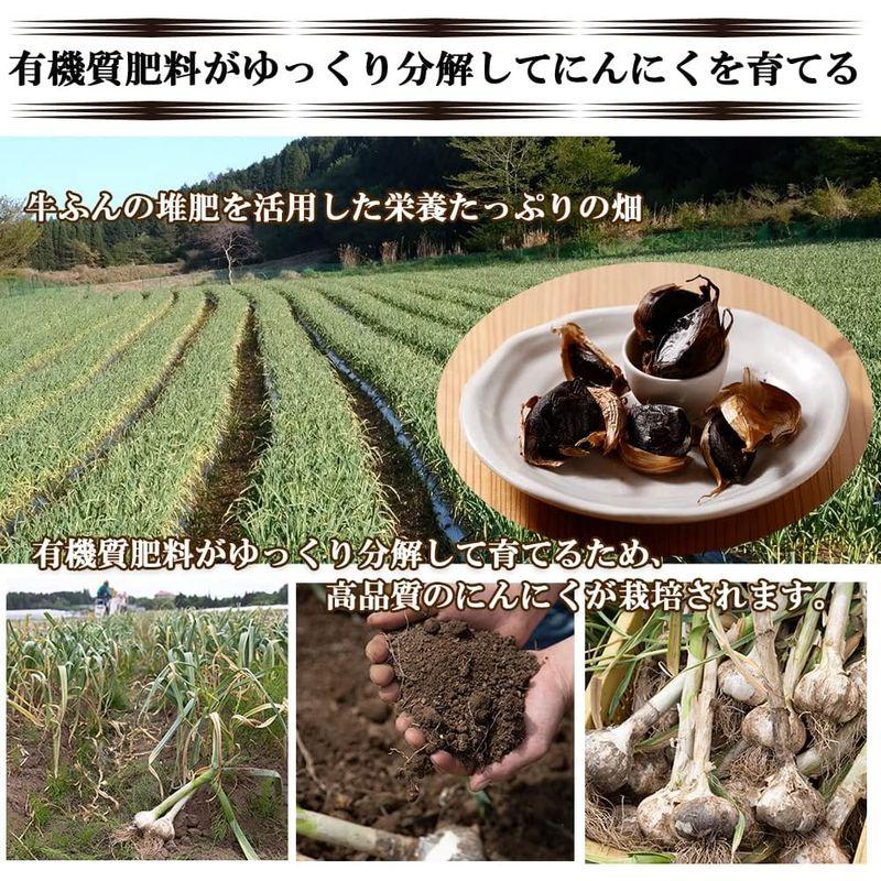 黒にんにく 黒ニンニク 100g にんにく ニンニク ガーリック ギフト 父の日 国産 大分県日田産