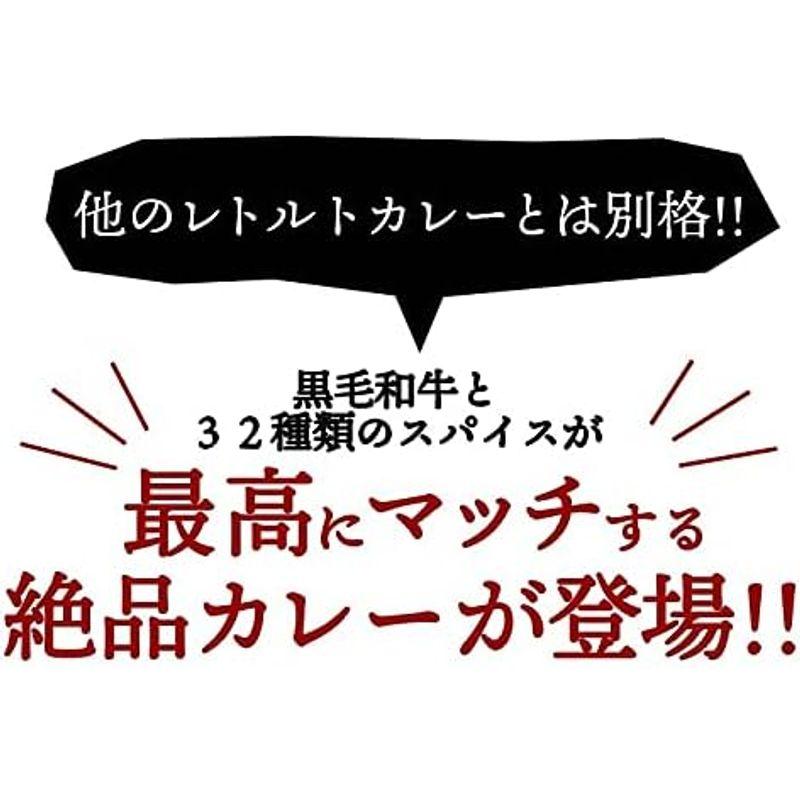 ザ・ビーフ黒毛和牛すじカレー240g・3食入